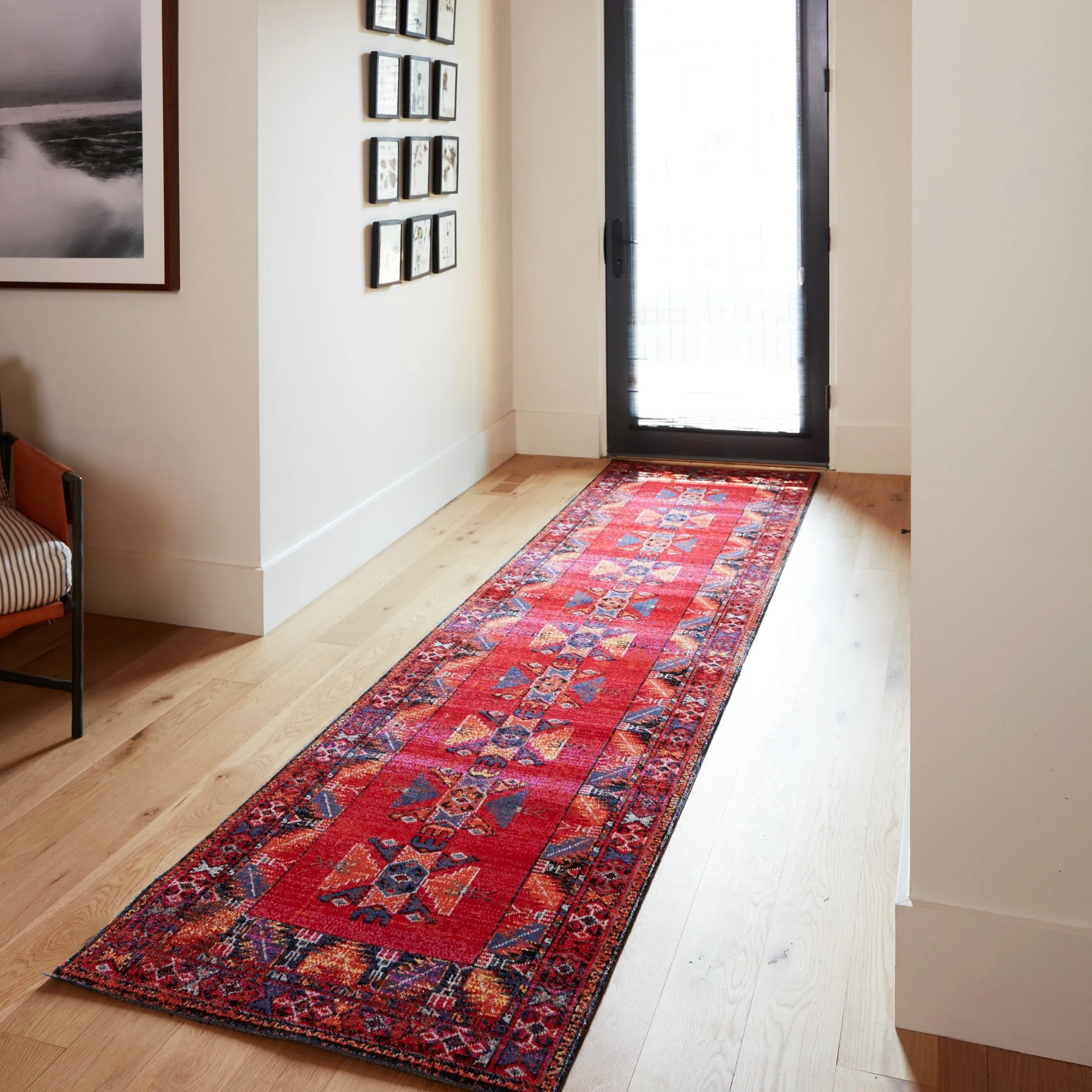 Paloma Indoor and Outdoor Tribal Area Rug