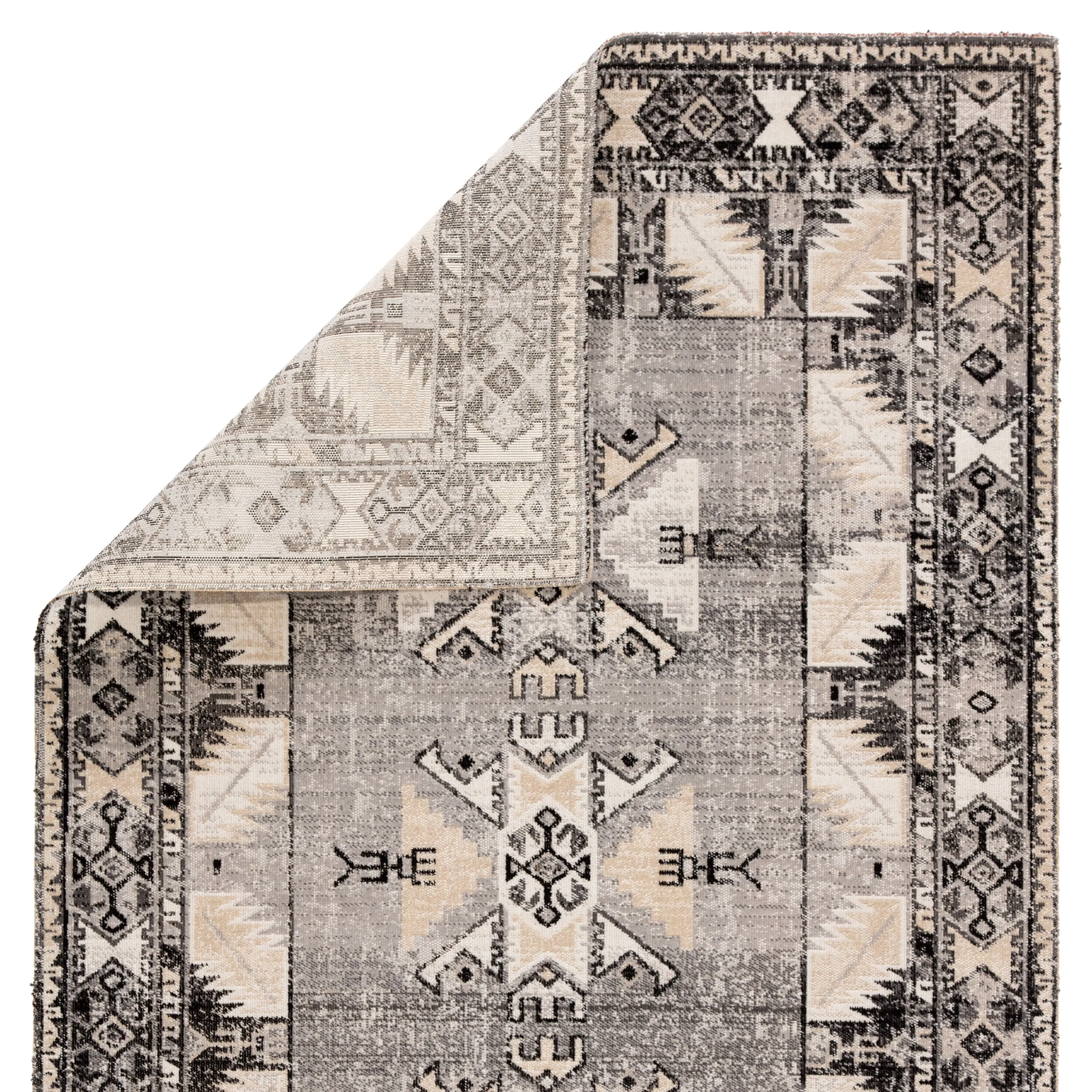 Paloma Indoor and Outdoor Tribal Area Rug