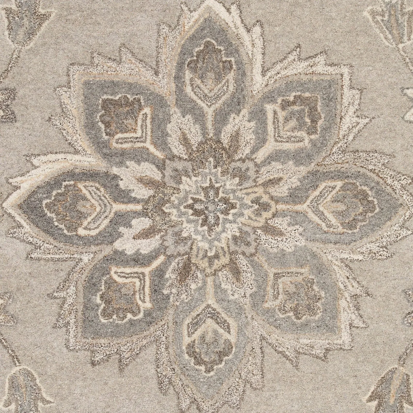 Robyn Handmade Transitional Medallion Wool Area Rug