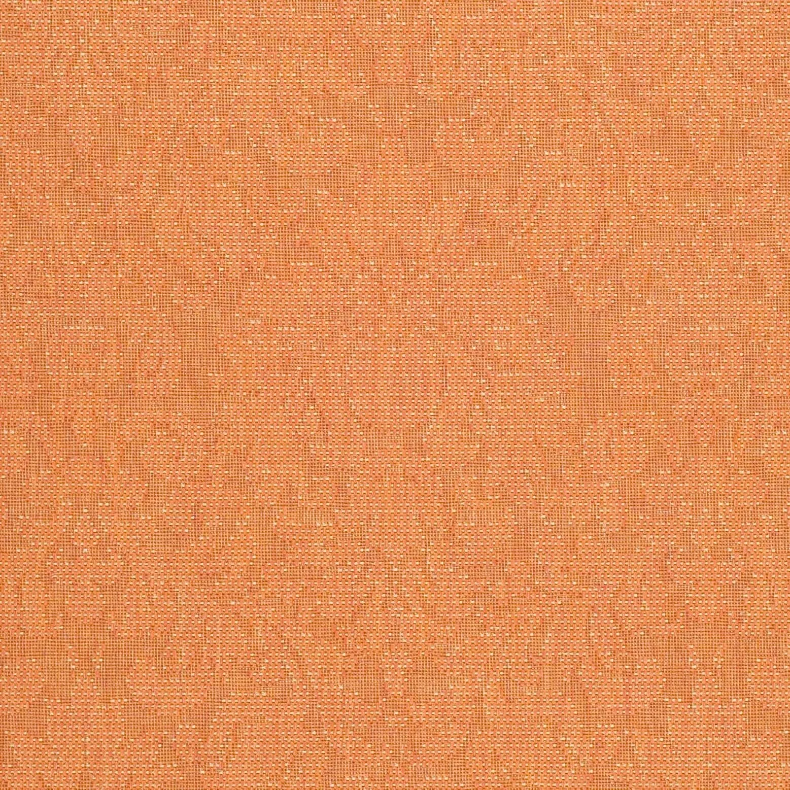 SAFAVIEH Courtyard Peggie Indoor/ Outdoor Patio Backyard Rug