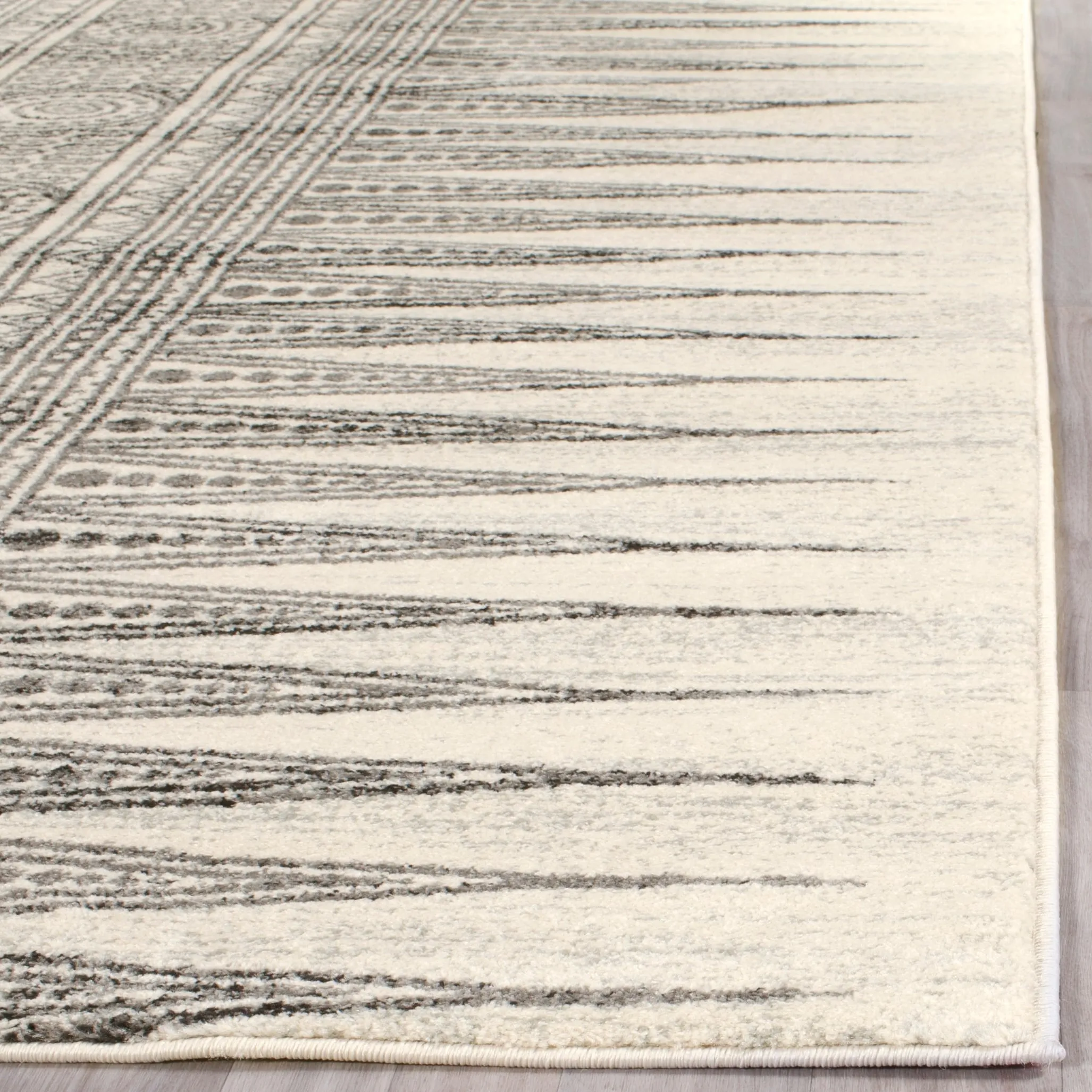 SAFAVIEH Evoke Cecylia Vintage Boho Rug