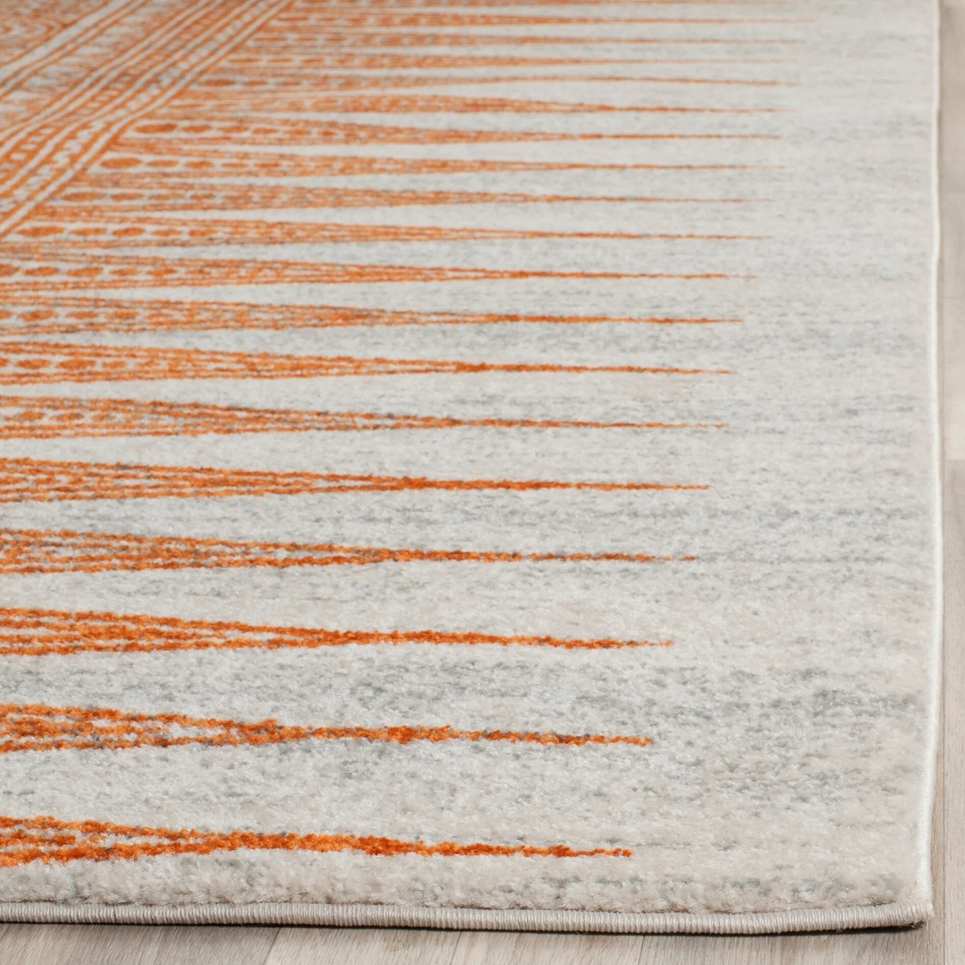 SAFAVIEH Evoke Cecylia Vintage Boho Rug