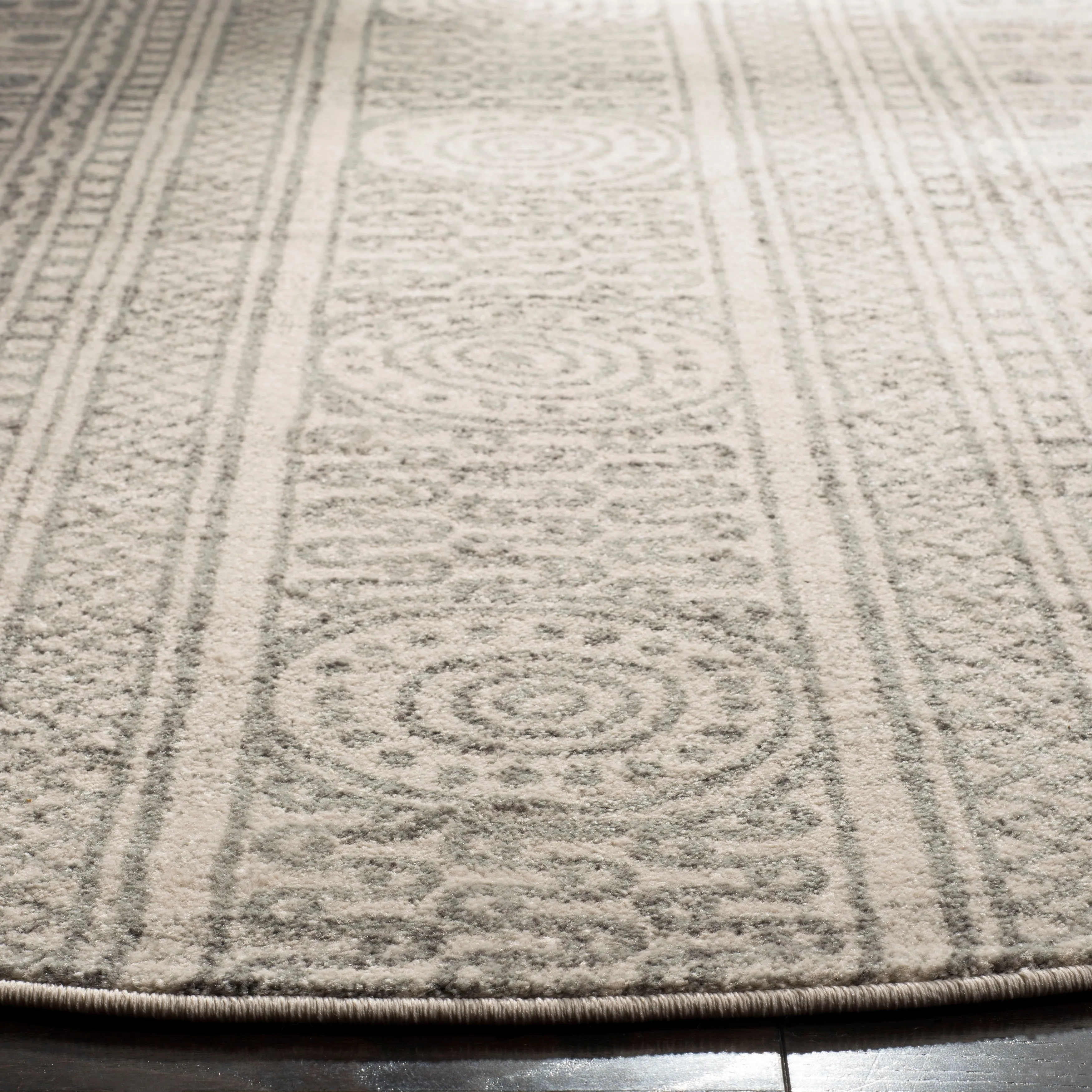 SAFAVIEH Evoke Cecylia Vintage Boho Rug