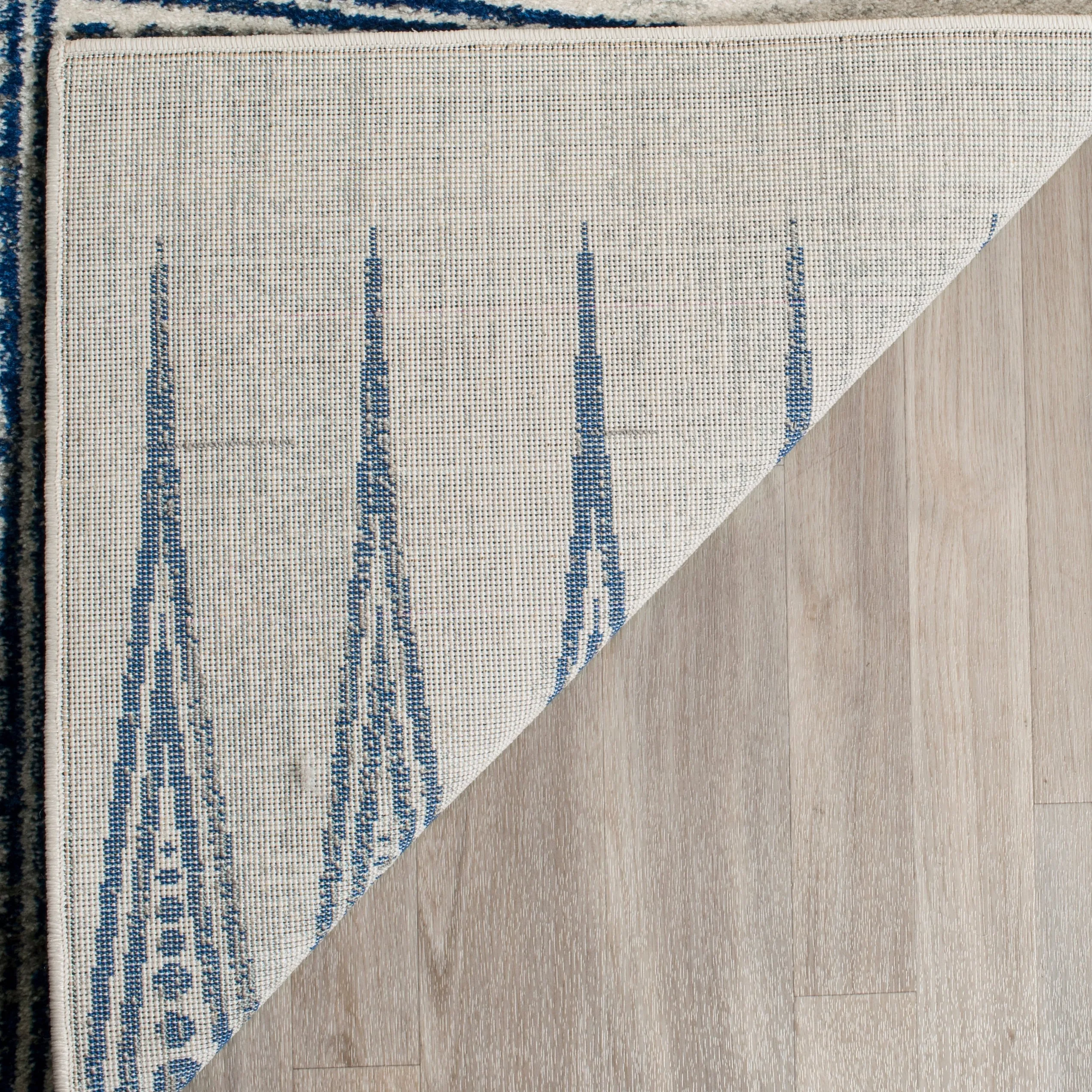 SAFAVIEH Evoke Cecylia Vintage Boho Rug