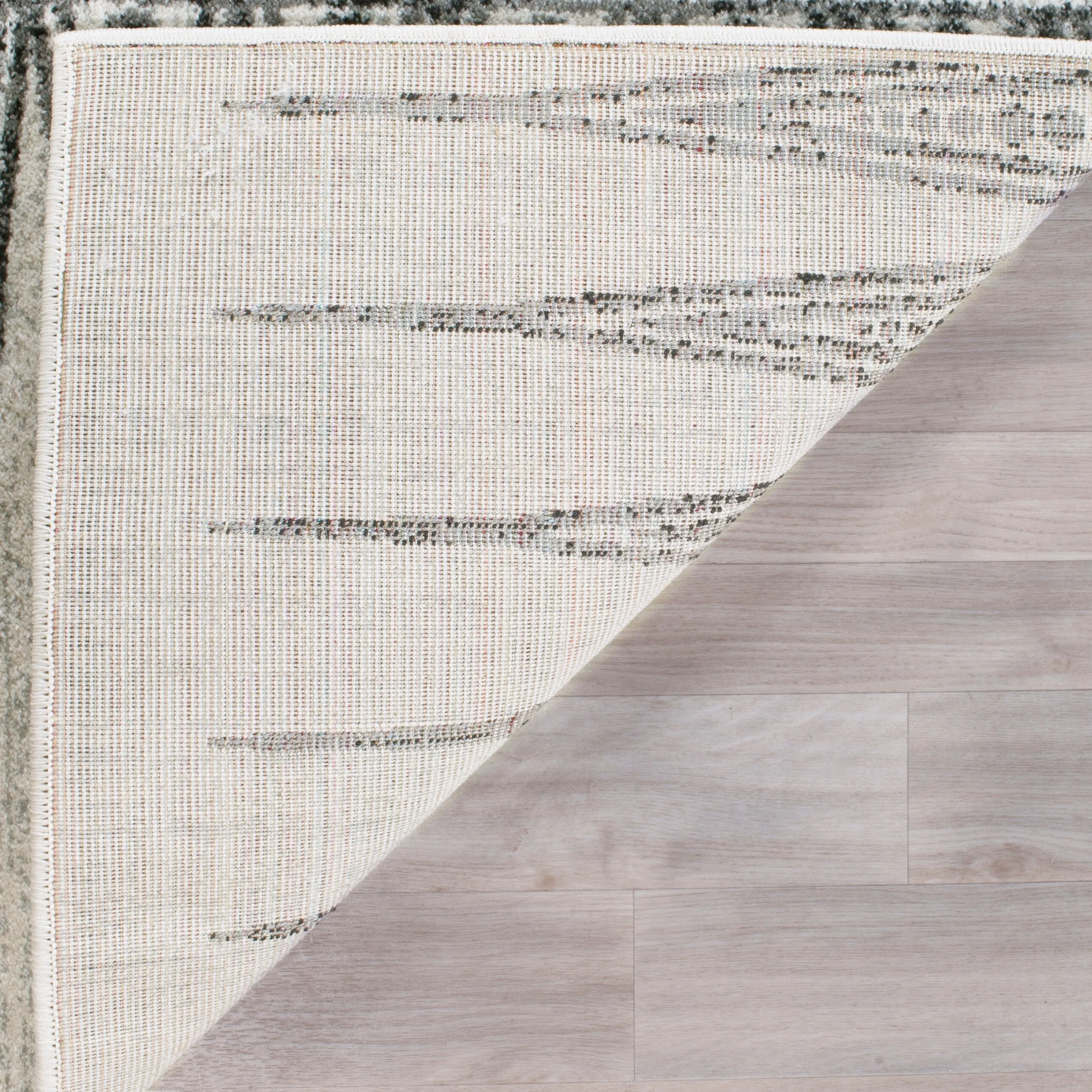 SAFAVIEH Evoke Cecylia Vintage Boho Rug