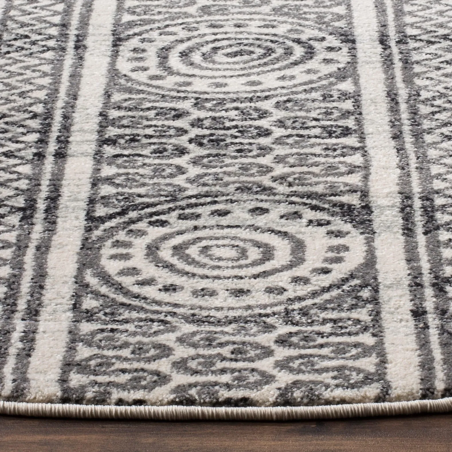 SAFAVIEH Evoke Cecylia Vintage Boho Rug