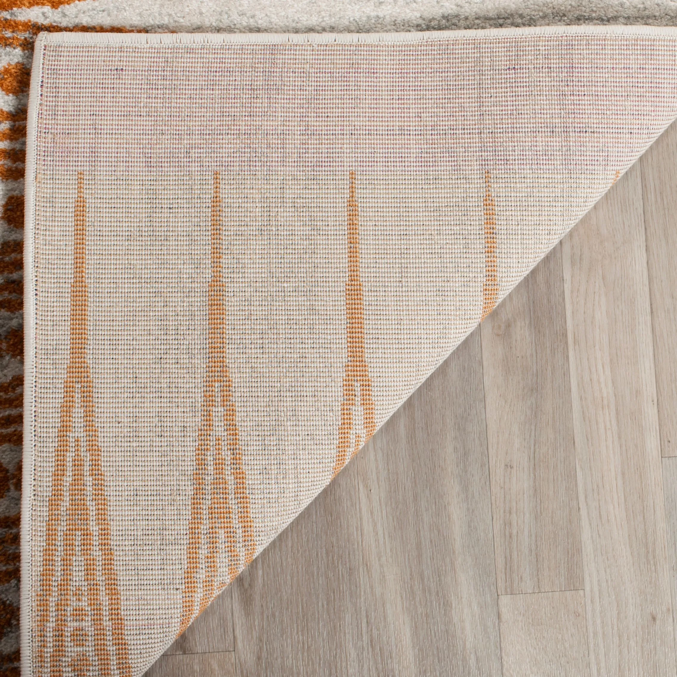 SAFAVIEH Evoke Cecylia Vintage Boho Rug