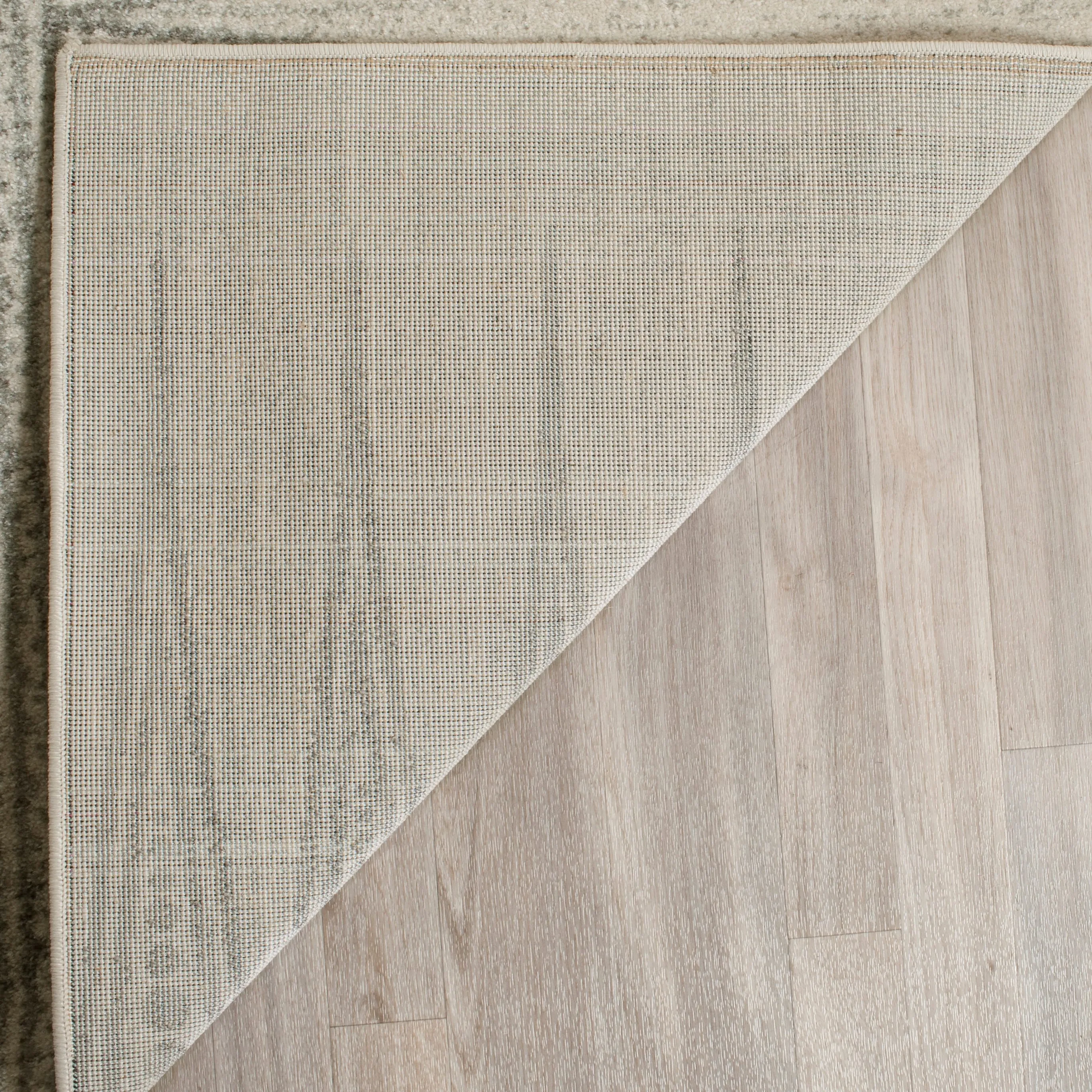 SAFAVIEH Evoke Cecylia Vintage Boho Rug