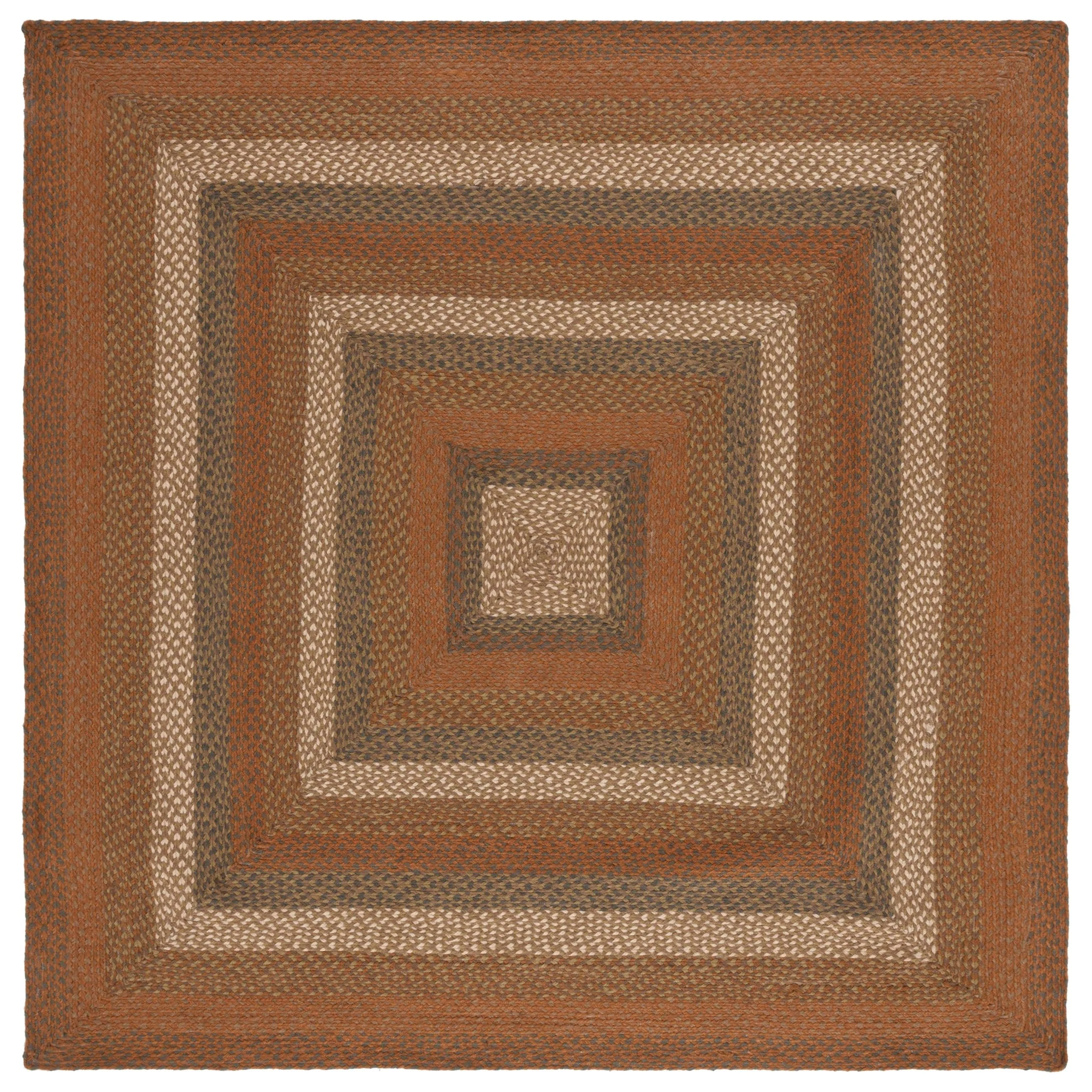 SAFAVIEH Handmade Braided Ilsabe Cotton Rug