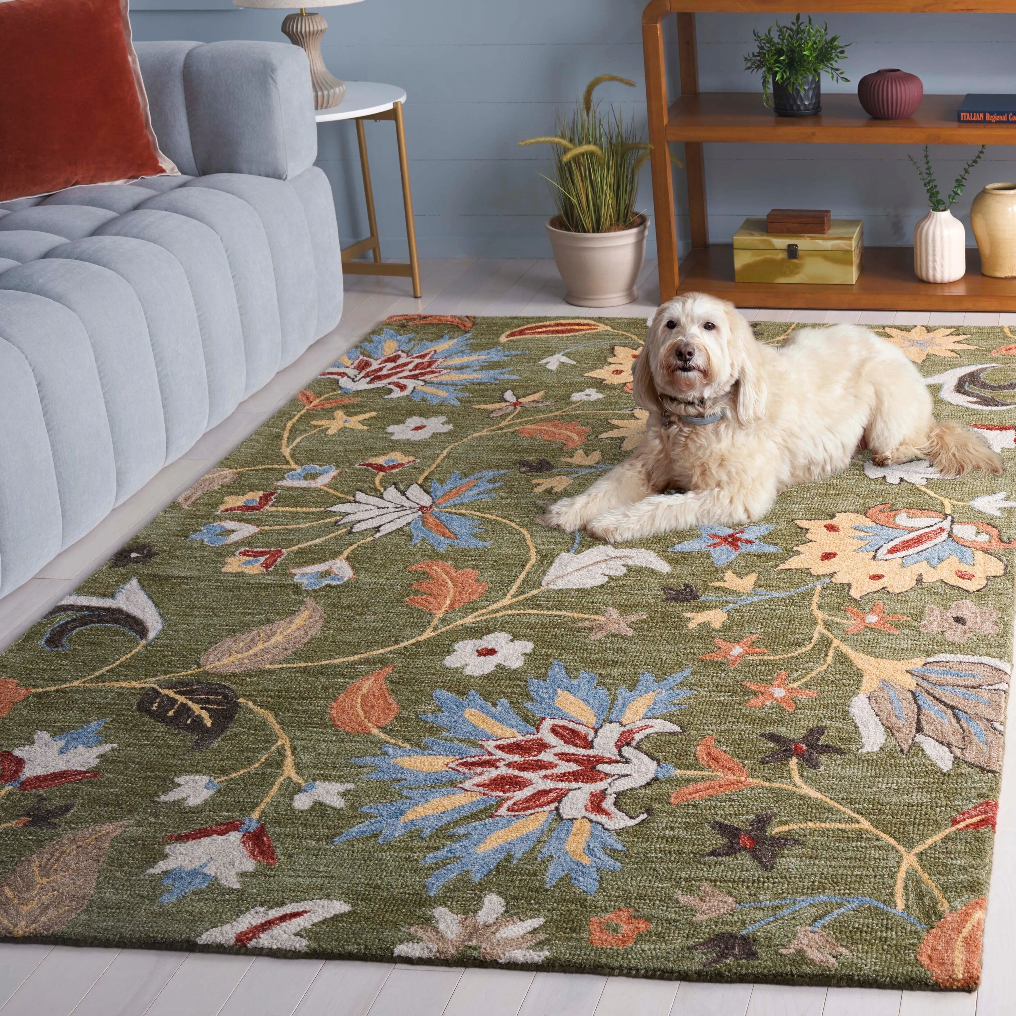 SAFAVIEH Handmade Jardin Asya Country Wool Rug