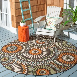 SAFAVIEH Veranda Aiga Indoor /Outdoor Waterproof Patio Backyard Rug