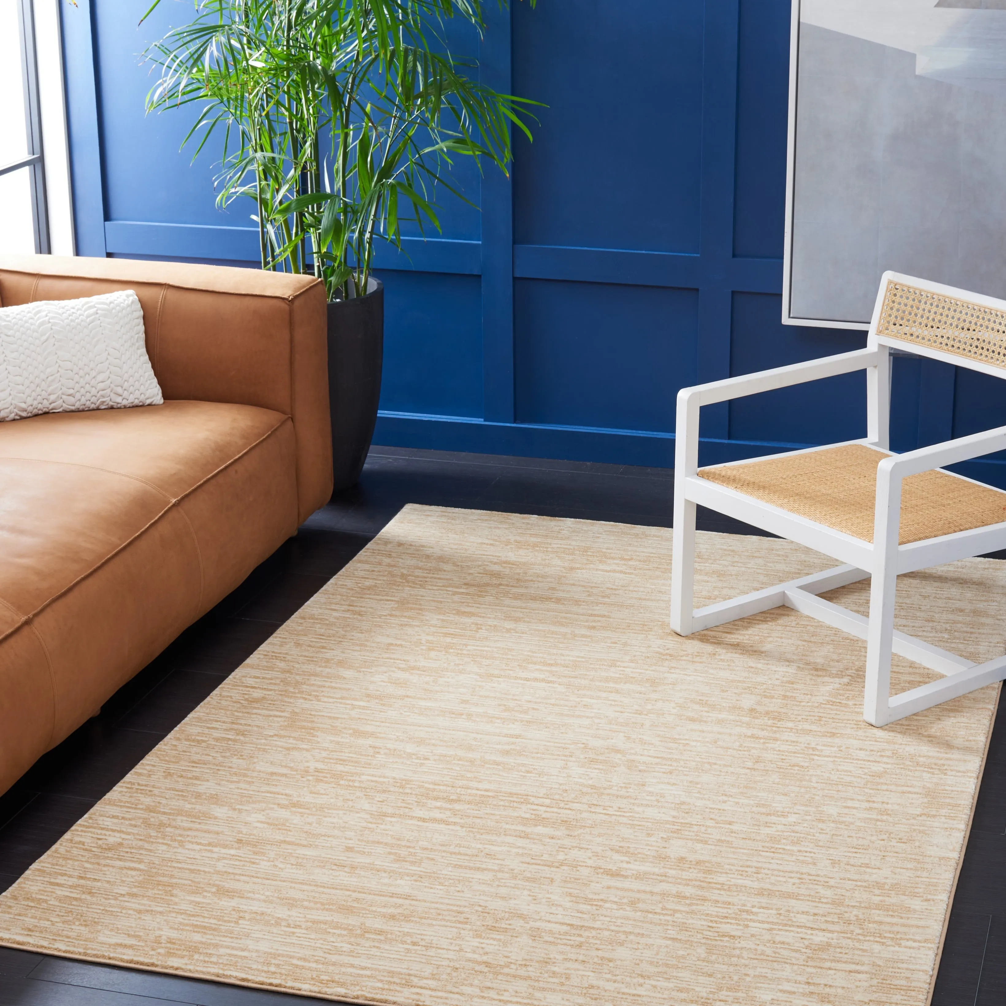 SAFAVIEH Vision Sunanda Modern Ombre Tonal Rug.
