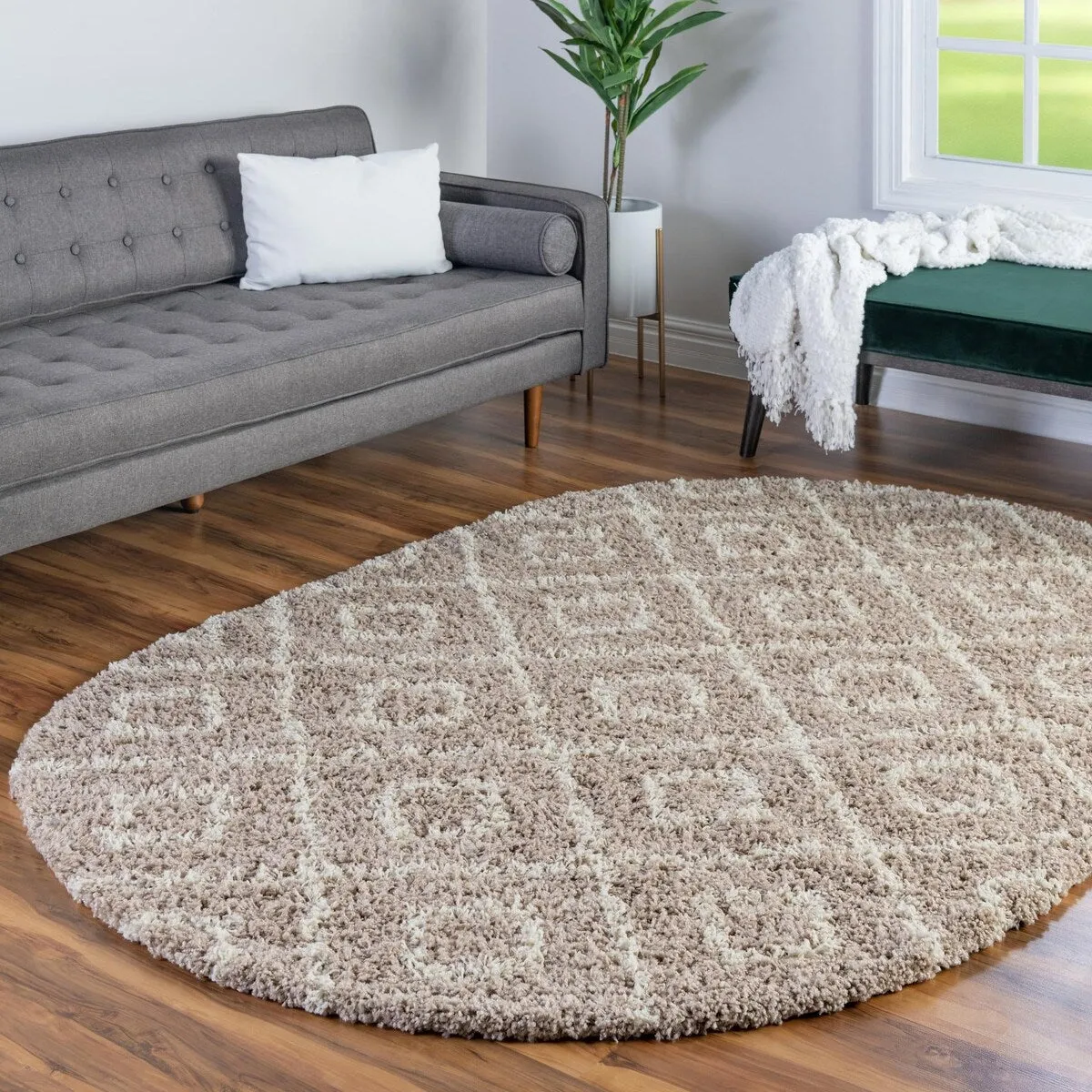 Shag Olido Collection Area Rug