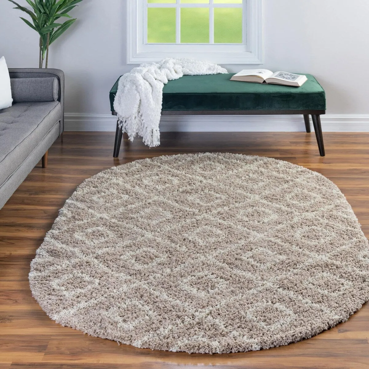 Shag Olido Collection Area Rug
