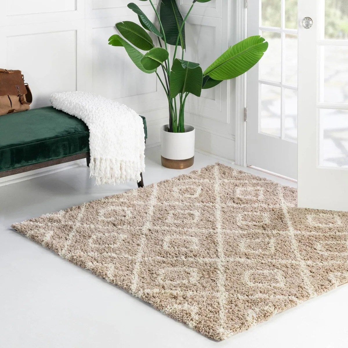 Shag Olido Collection Area Rug