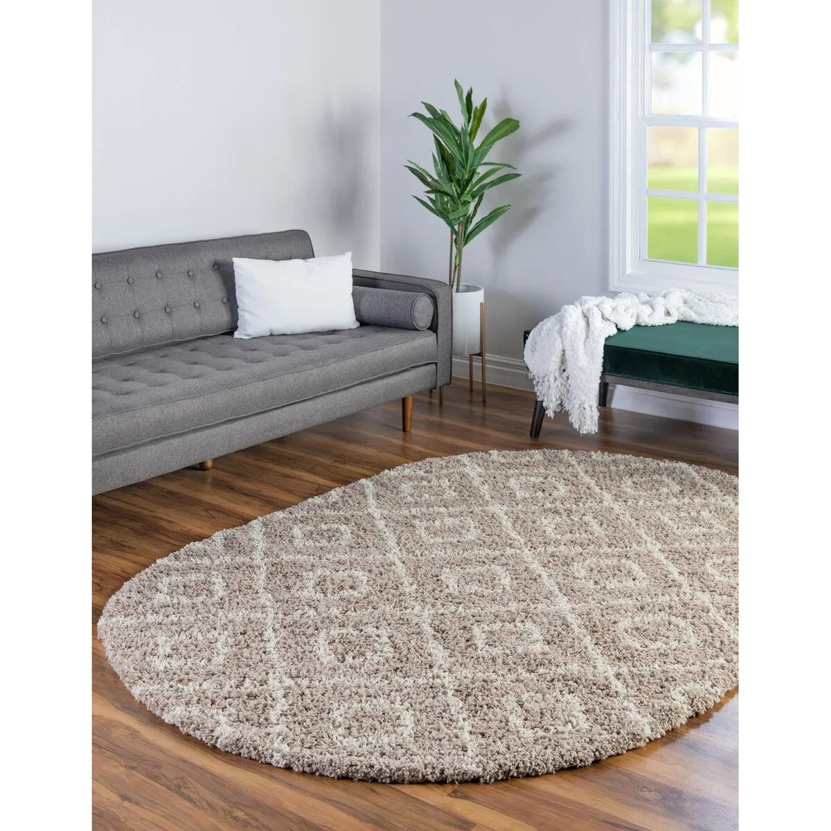 Shag Olido Collection Area Rug
