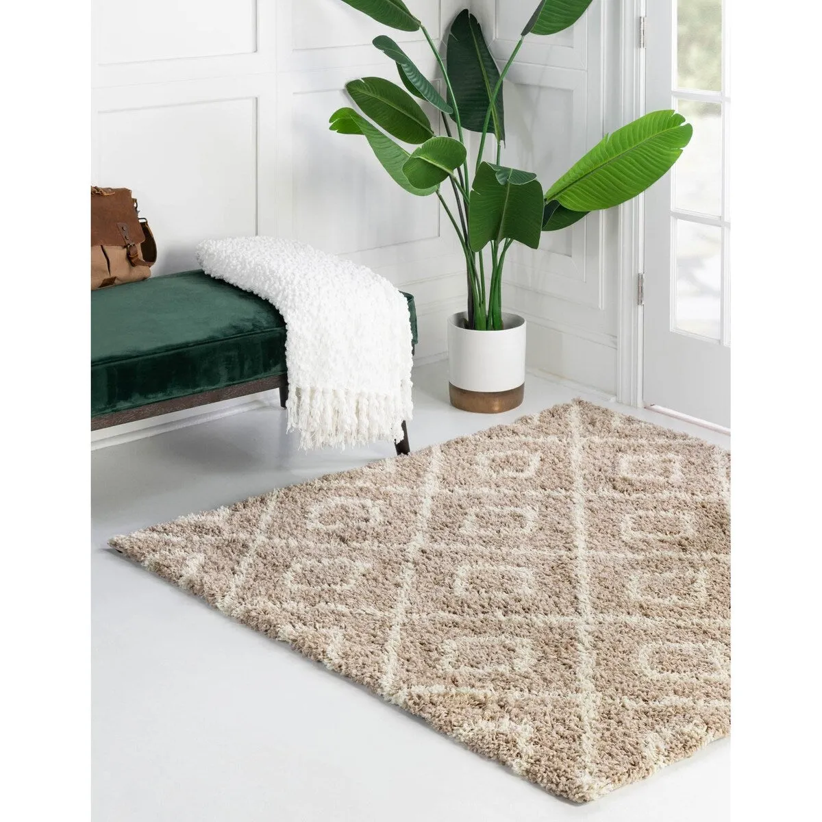 Shag Olido Collection Area Rug