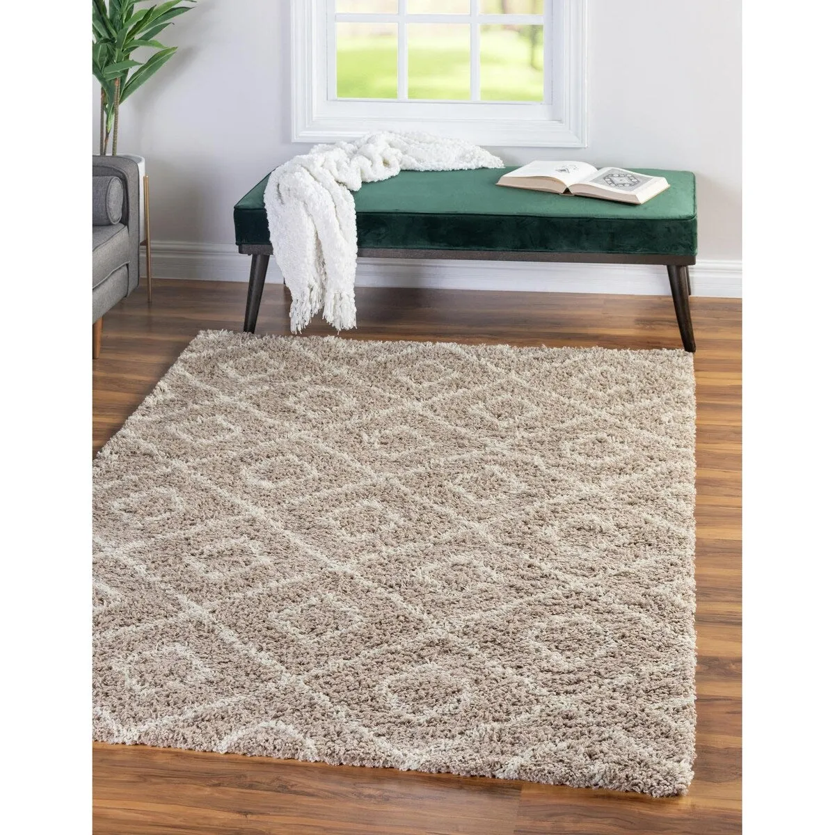 Shag Olido Collection Area Rug
