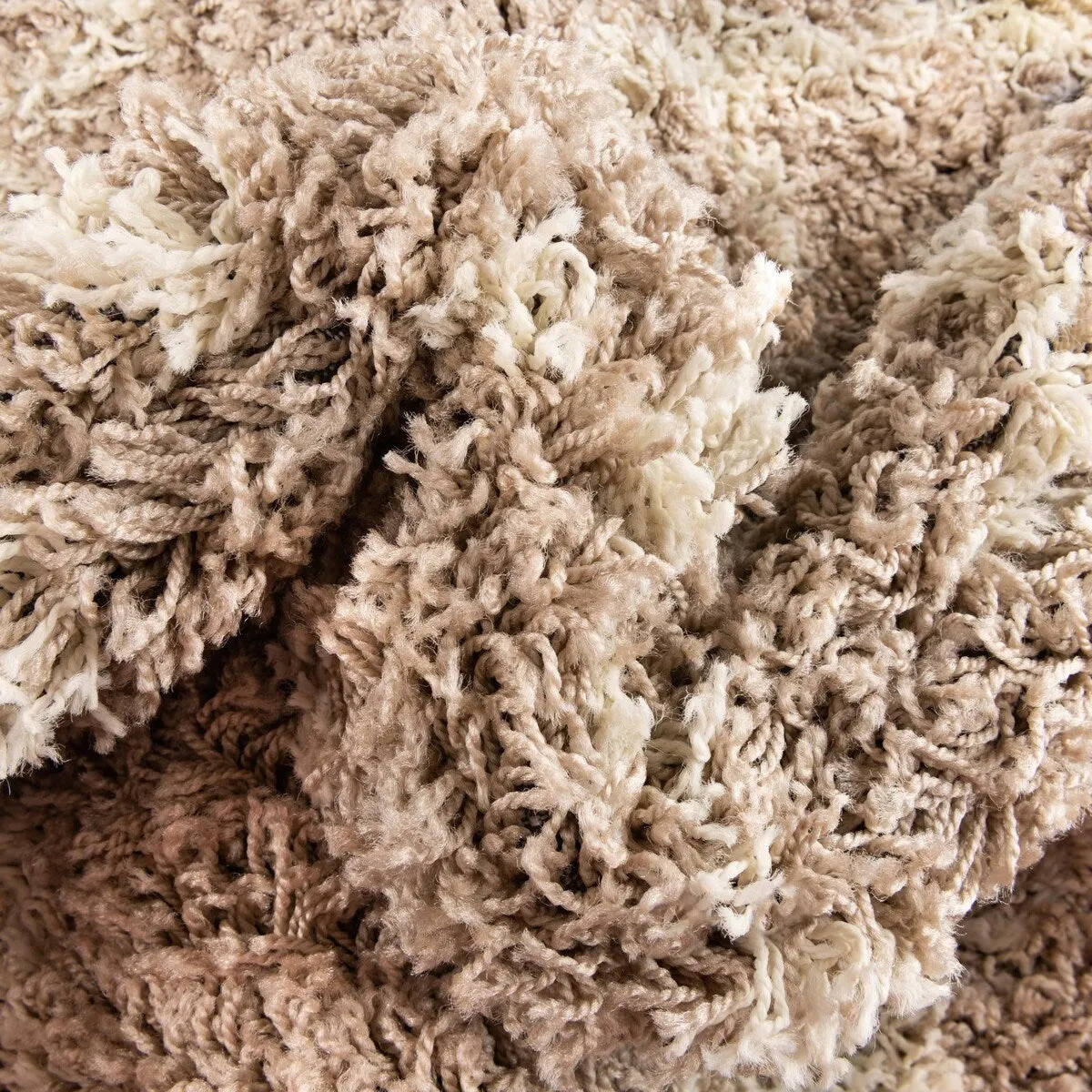 Shag Olido Collection Area Rug