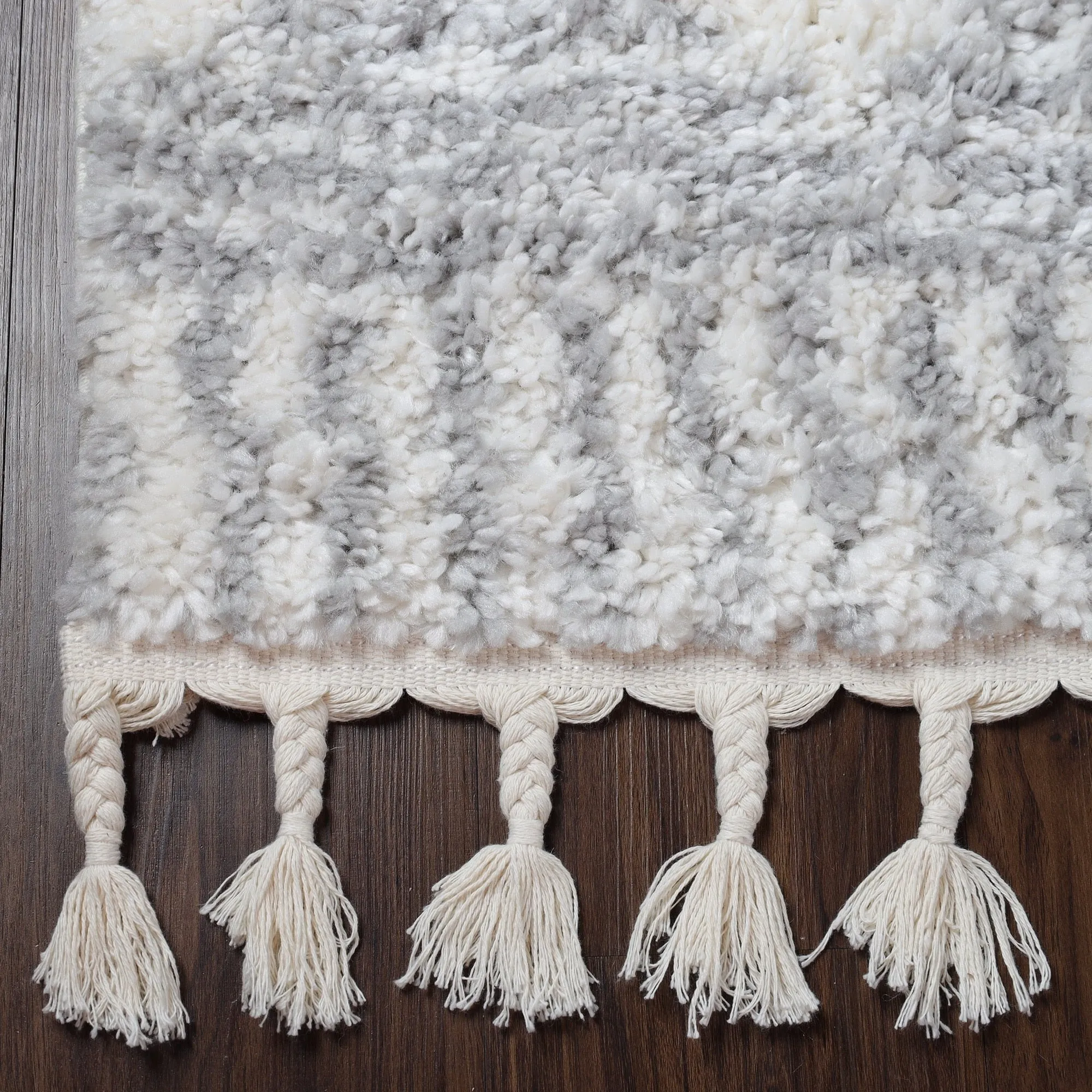 Superior Bohemian Geometric Indoor Plush Shag Area Rug with Tassels