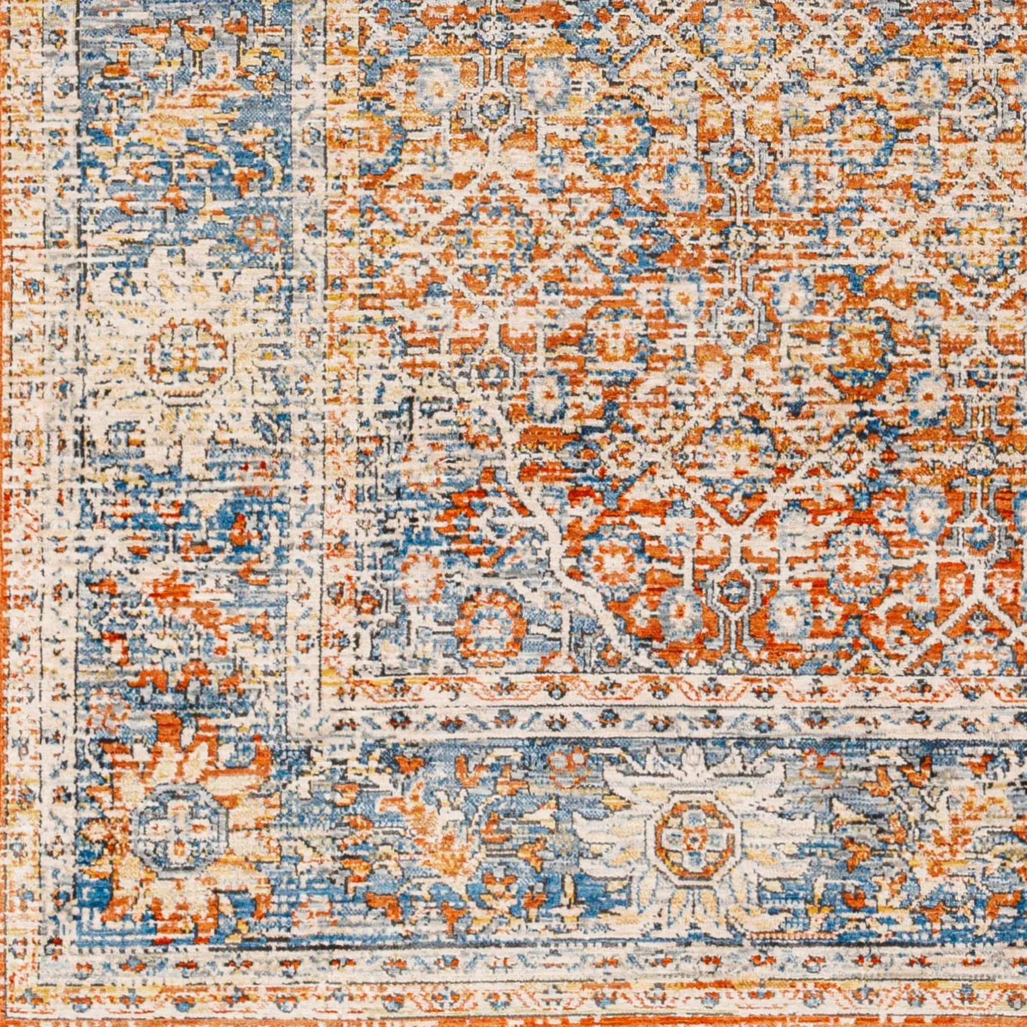 Tiena Faded Classic Area Rug