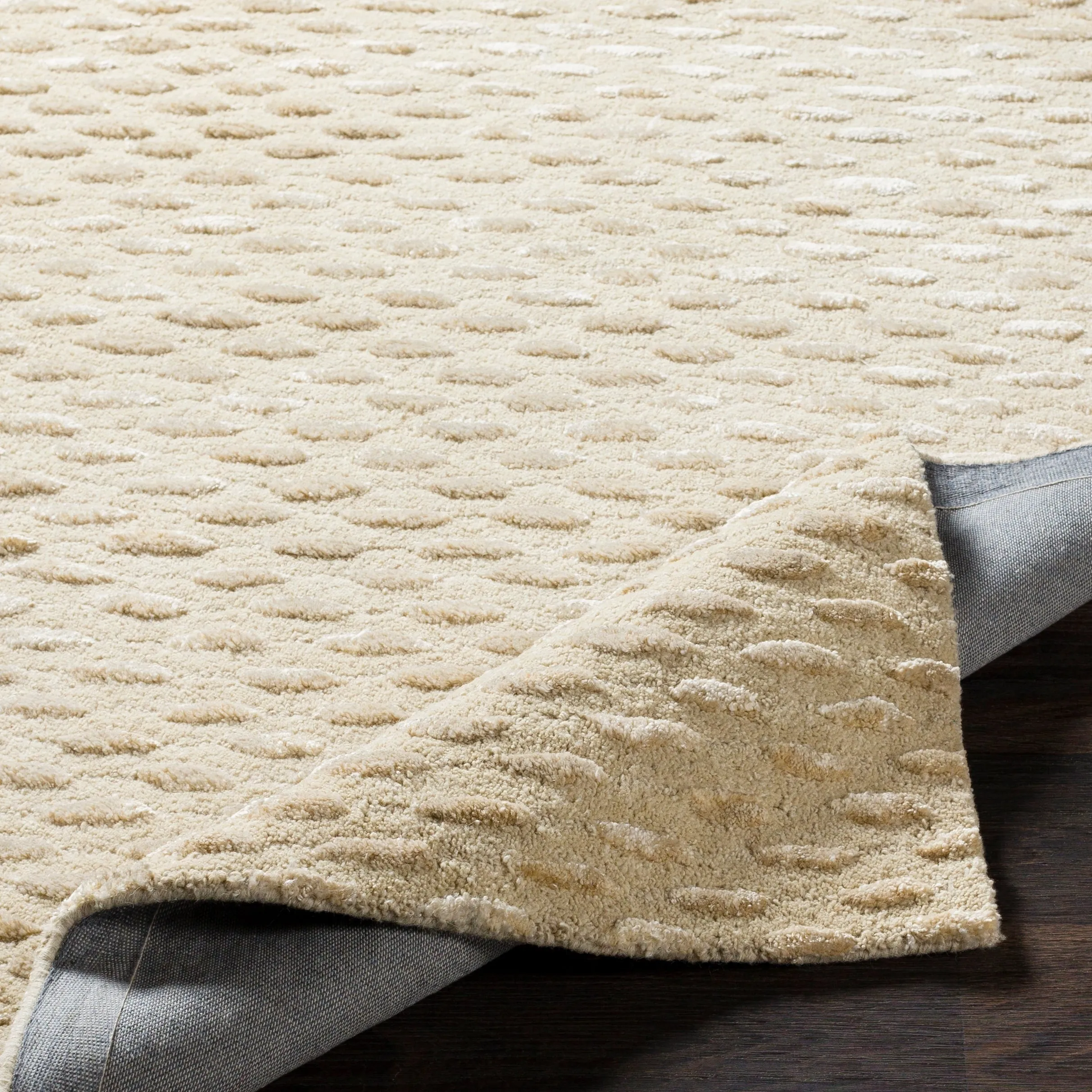 Towallum Handmade Wool & Viscose Area Rug