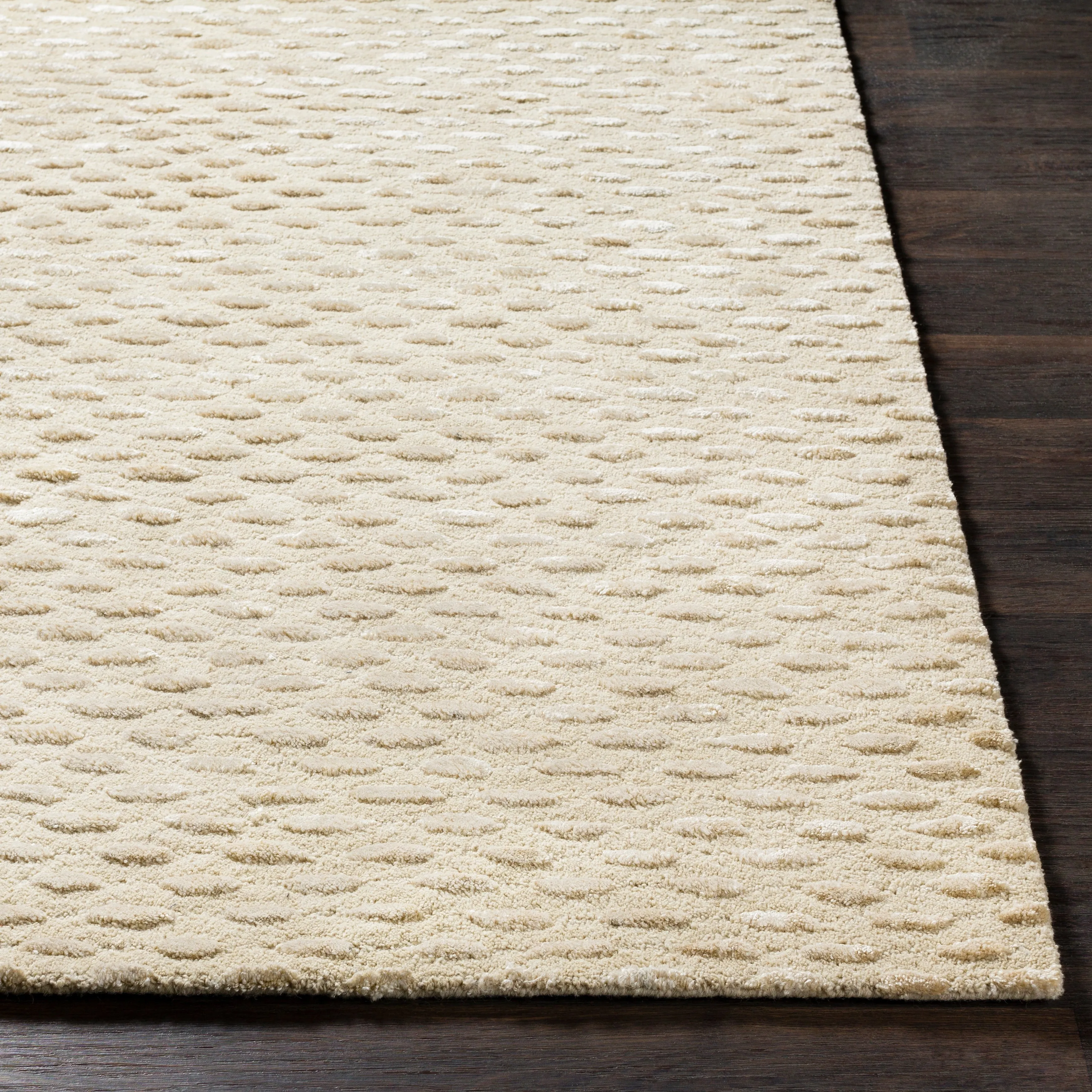 Towallum Handmade Wool & Viscose Area Rug