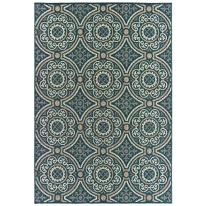 Vista Home Higgins Panel Medallion Indoor/ Outdoor Area Rug by Havenside Home
