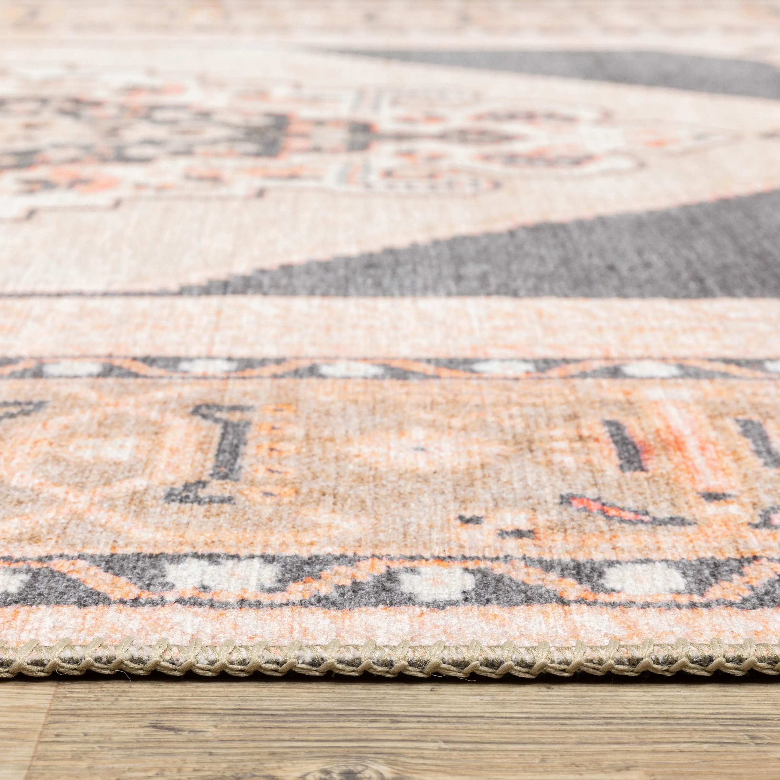 Vista Home Sasha Vintage Bohemian Medallion Area Rug