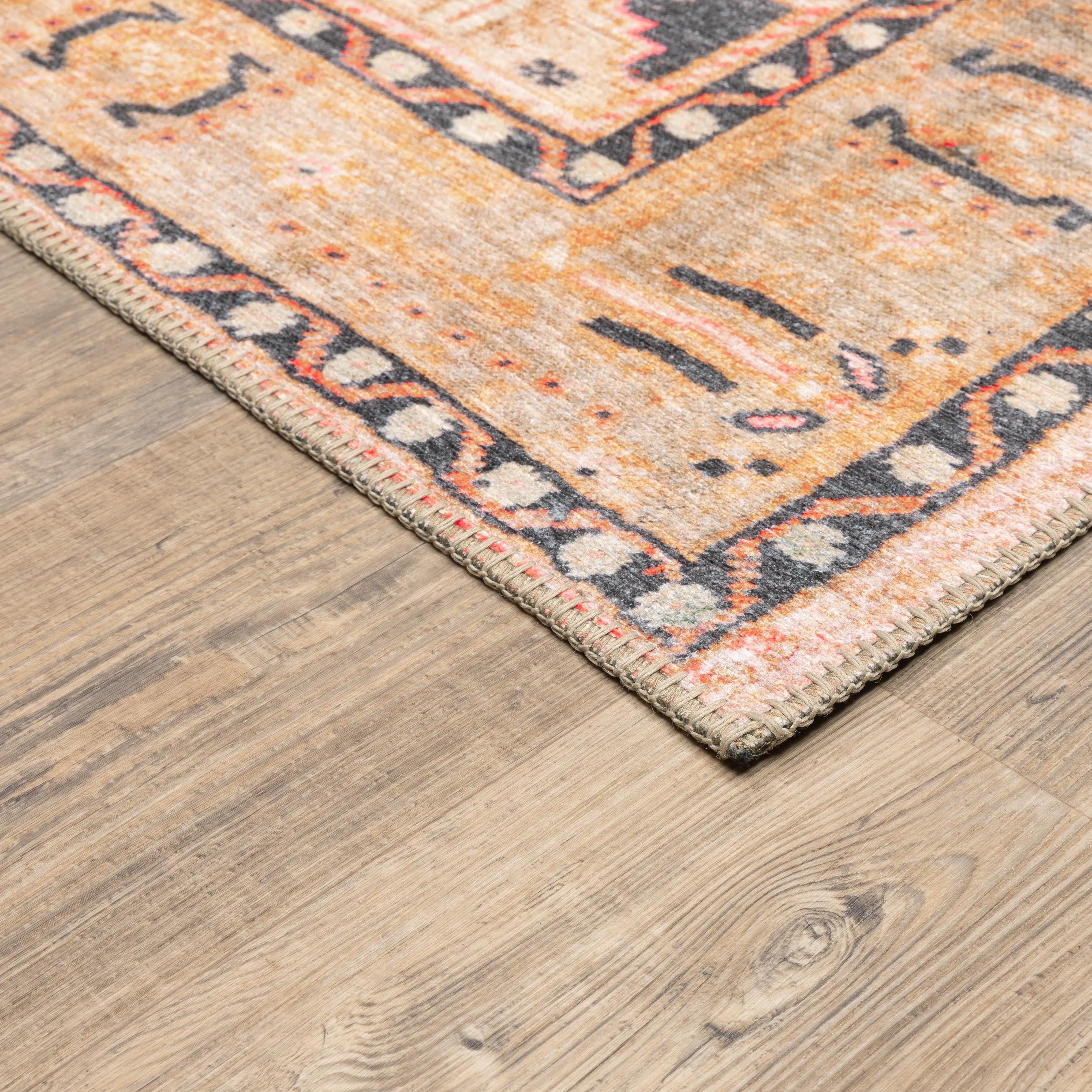 Vista Home Sasha Vintage Bohemian Medallion Area Rug