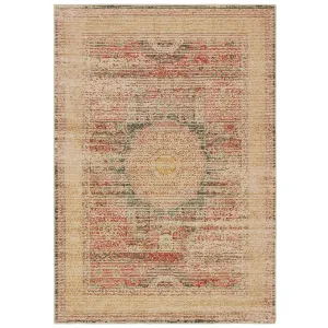 Vista Home The Gray Barn Redbone Distressed Medallion Ivory and Orange Area Rug