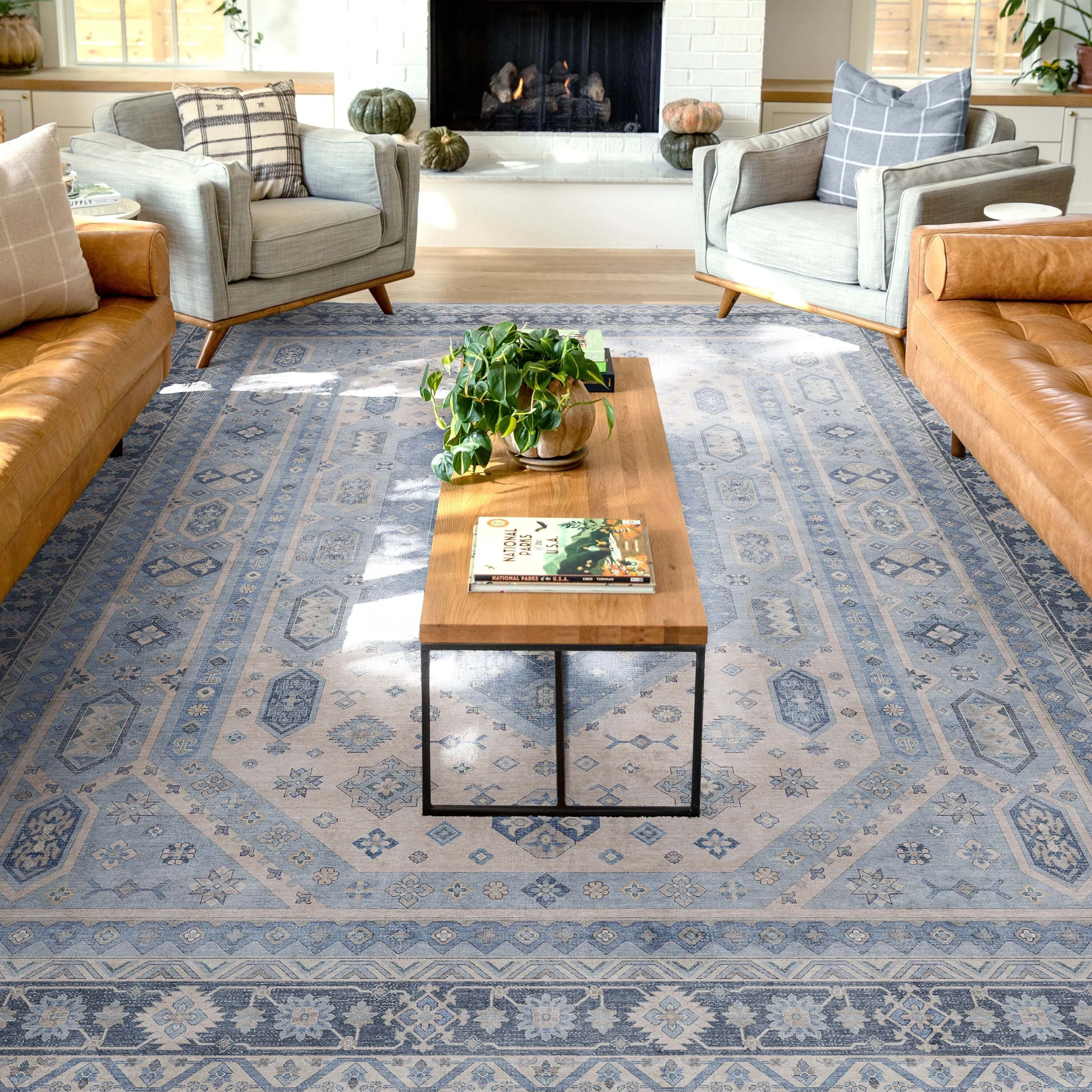 Well Woven Apollo Nicosia Medallion Flat-Weave Machine Washable Area Rug