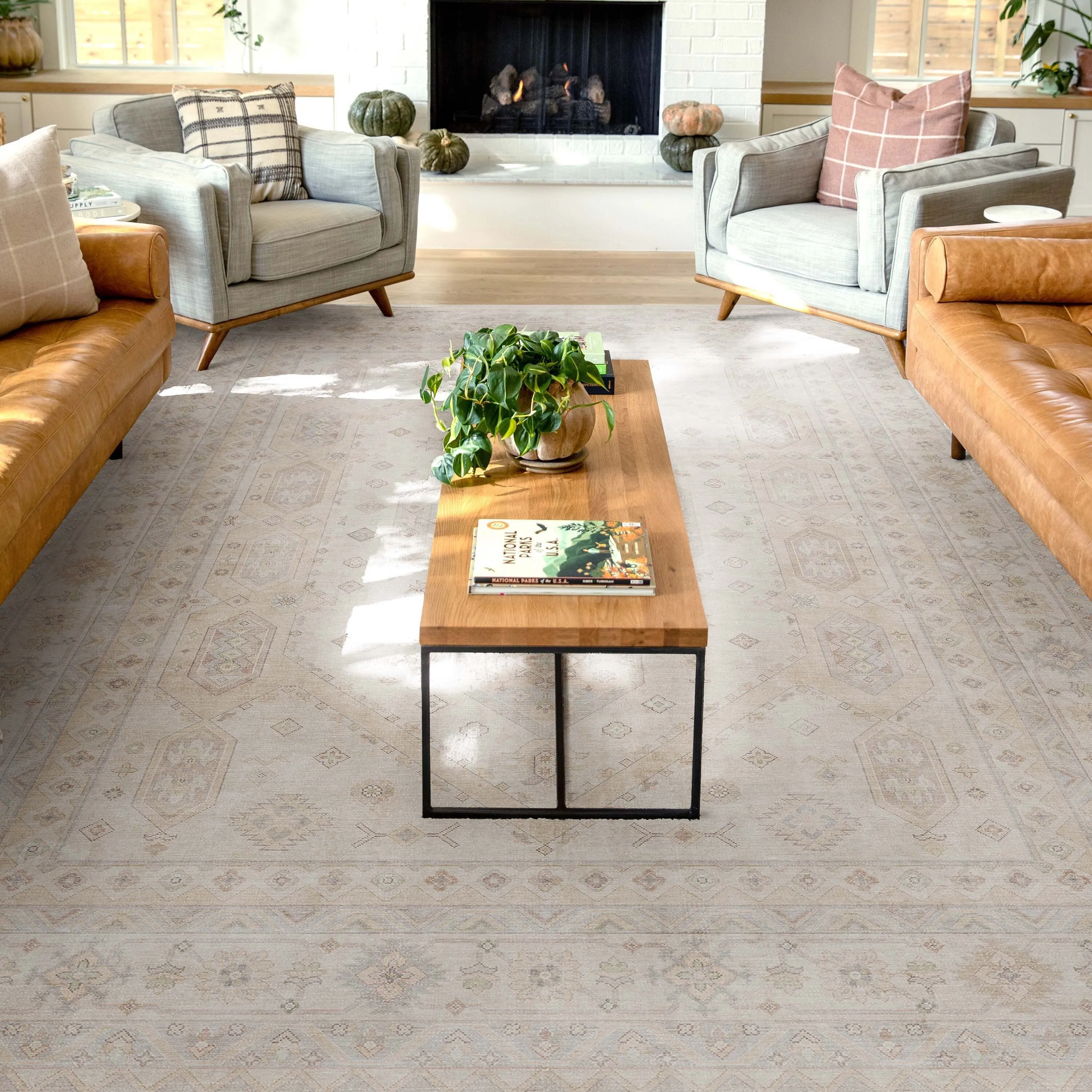 Well Woven Apollo Nicosia Medallion Flat-Weave Machine Washable Area Rug